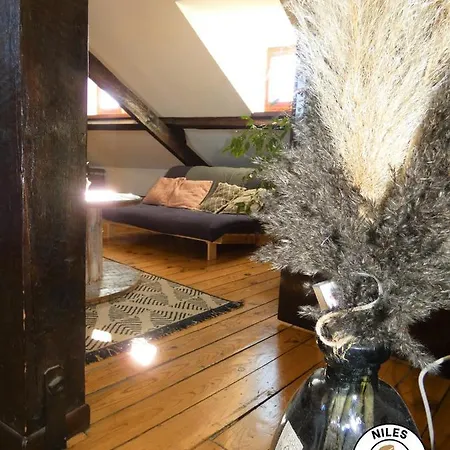 La Caze Paloise ~ Atypique ~ 100% Fonctionnel Apartman *